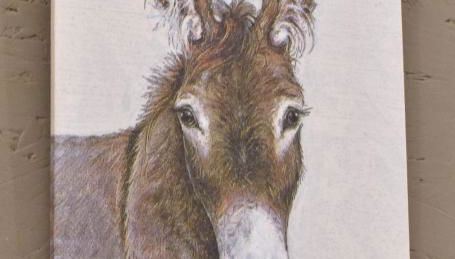 Ferienwohnung-Esel - Foto 2