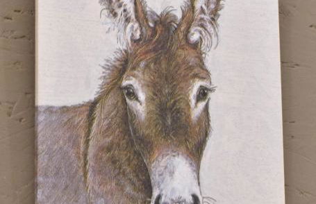 Ferienwohnung-Esel - Foto 2