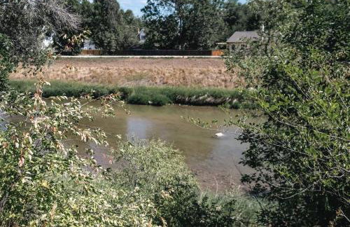 Quiet Creekside Walk to Downtown - Foto 42