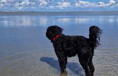 Ediths Haus - Foto 68