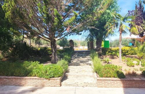 Paredejas del Rey - Foto 32