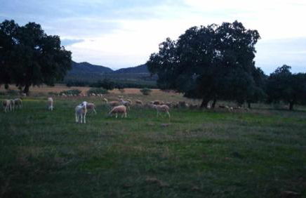 Finca el Vizconde - Naturaleza con tus hijos - Foto 28