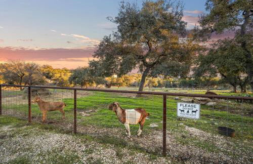 Barndominium with Farm and Firepit near Lake Georgetown - Foto 37