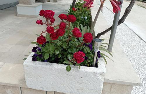 Apartments Mirko - Photo 56