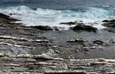 Gioiellino a Genova Nervi vista mare - Foto 24