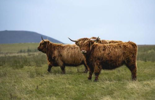 Cairns Farmhouse - Foto 49