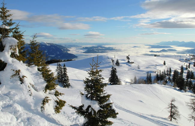 Holiday Home in Eberndorf Near Petzen Ski Area - Foto 1