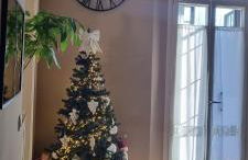 Alemanni54 - Apartment - Photo 41