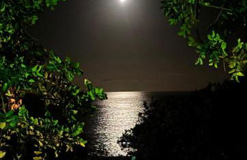 La Casa di Samantha a Villa Regina a picco sul mare con piscina - Photo 42