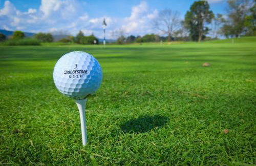 Au point du jour - Gîtes Carcassonne, Lac de la Cavayère - Foto 42