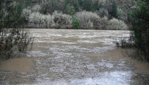 Secluded Cabin Ideal for a Romantic Getaway in the Umpqua River Valley of Oregon - Foto 4