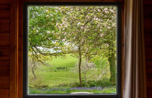 Chalet Lodge 6 - Hot Tub Lodge by Interhome - Foto 25