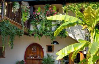 Gîte FLEUR DE VIGNES - Foto 28