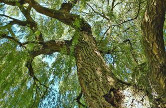 Holiday Home Near Alabaster Coast Beaches - Foto 24