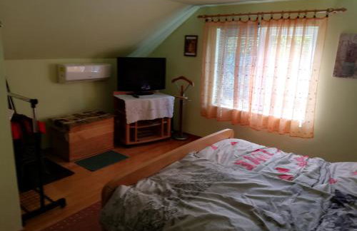 Paun - Photo 7