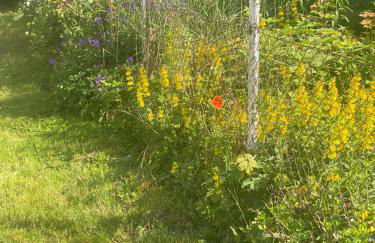 Das Garden House - Hohensee Erdgeschoss - Foto 18