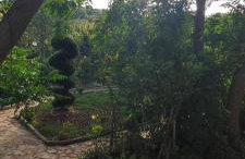 Villa Olive Island - Photo 36