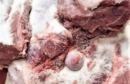 Casolare Azzurro - Foto 58