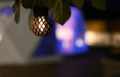 Domo AWA Magia y Naturaleza - Foto 25