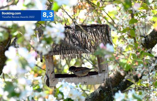 Pensjonat Jagoda - Foto 34