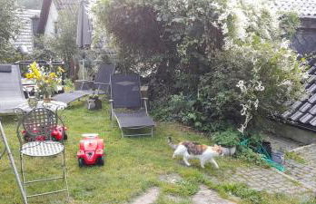 Ferienwohnungen Willrich - Foto 60