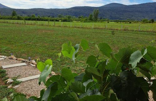 Propolis house - Foto 57