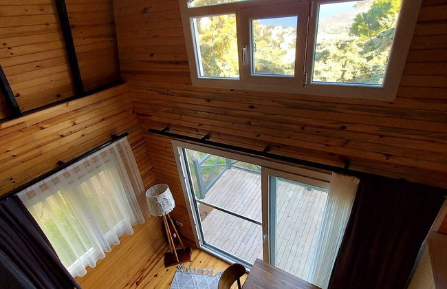 Sole Foca ( Ages 12+ ) - Foto 5