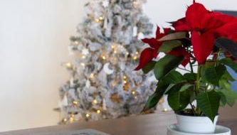 Grifone Dolomiti Residences - Photo 3, furniture