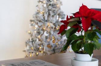 Grifone Dolomiti Residences - Photo 3