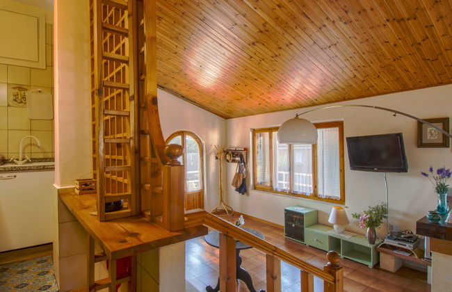 Duna Marina - Foto 6