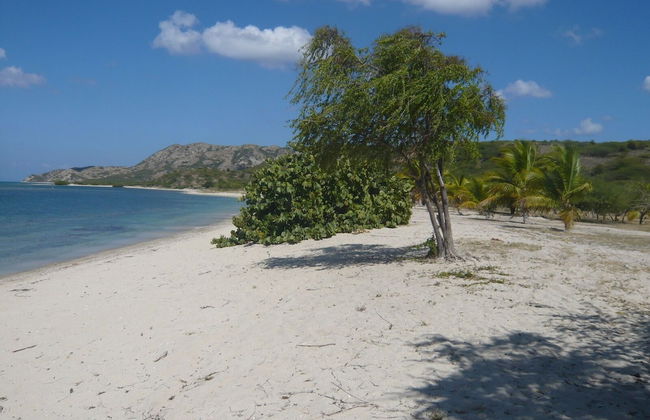 Villa Los Almendros - 2 Private Pools & Tennis & Pickle Ball - Photo 25