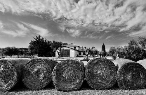 Orti di Capalbio - Foto 26