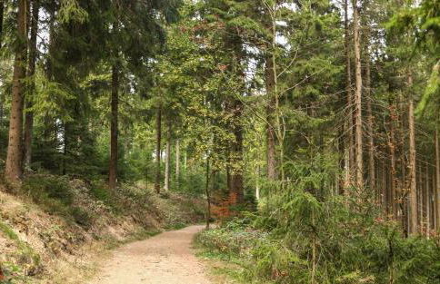 Haus Riesebeek - Foto 21