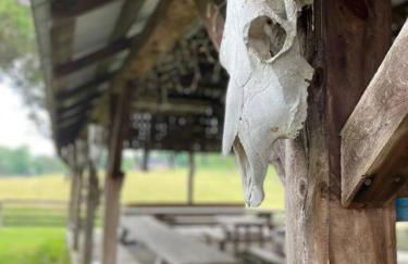 Bourbon Trail Cabin on the Farm - Foto 8