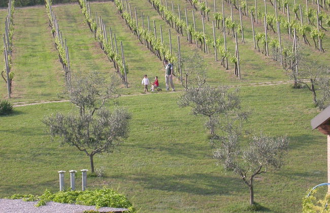 Arriga Alta - Foto 18