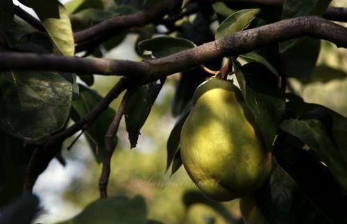 Agriturismo Sanguineto - Foto 160