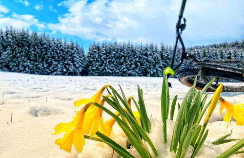 Gîte comme à la maison -12 pers- La Cabiote - Foto 28