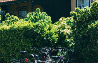 Hotel Rural La Casa Amarilla - Foto 22