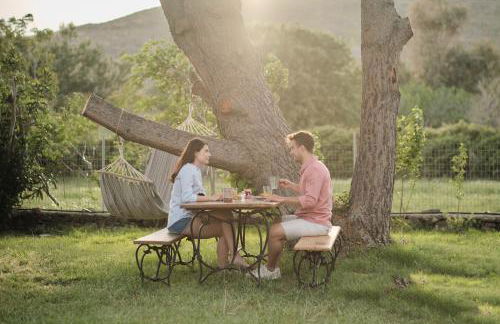 Heliotopos - Photo 10