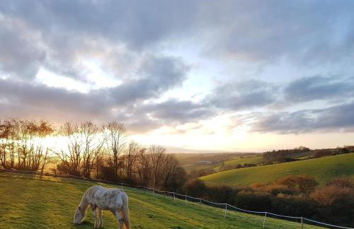 3 Bed in Umberleigh oc-78304 - Photo 22