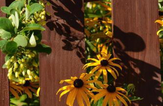 Leśna 6 - House with a garden - Foto 29