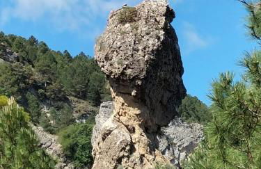 Casas Rurales Cerro Lobo - Foto 54