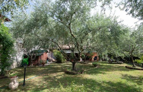 Casa Celestina - Foto 64