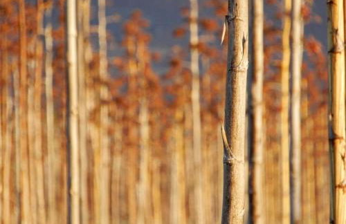 AD apartment - Foto 19