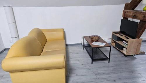 Appartement charmant à Beaugency, 60 m² + Douche moderne - Photo 3