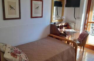 L'angolo verde - Foto 3