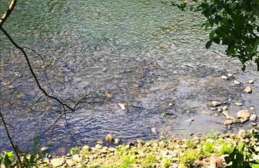 Rare River Views & Access, Cabin by Eden Islands - Foto 54