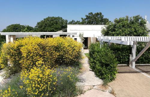 Marinelli Guest House - Foto 24