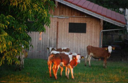 Auf'm Reifnhof - Foto 16