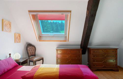 Grundhäusle Gütenbach - Foto 14